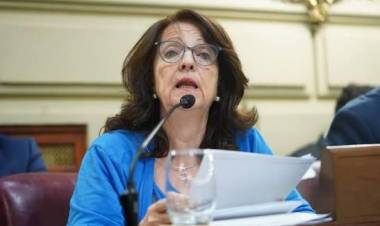 Piden el tratamiento urgente de la Emergencia Pública en Salud Mental en Santa Fe