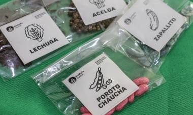 Los talleres del programa Huertas Urbanas vuelven a los barrios con entrega de semillas y capacitación