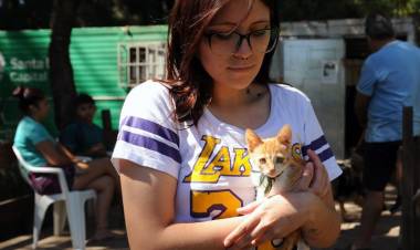 El IMUSA llega a zona sur con una campaña de vacunación antirrábica gratuita