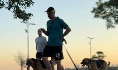 Santa Fe avanza en más protección y cuidado para los animales de compañía