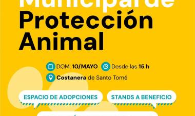 La Municipalidad realizará la 3.ª edición de la Feria Municipal de Protección Animal