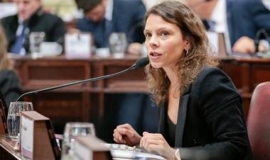 "Hoy estamos aprobando una ley que marca el inicio de un proceso de escucha y debate en el que los santafesinos y santafesinas vamos a decidir que educación queremos construir hacia el futuro." 