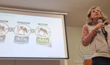 Los controles a tiempo en la crianza de terneros evitan consecuencias profundas en el futuro del rodeo