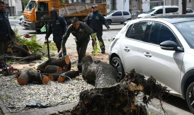 Luego de la tormenta, la Municipalidad atiende incidencias en toda la ciudad