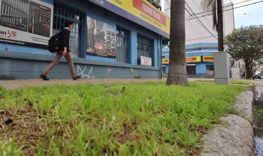Habilitan a comercios a utilizar la cinta verde para colocar cartelería