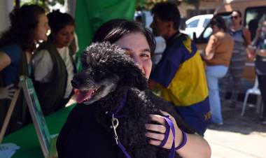 Imusa continúa con la campaña de sanidad animal en el Distrito Noroeste