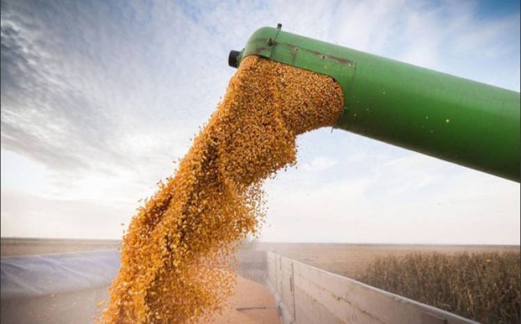 Retenciones al agro, la posición del senador Rodrigo Borla
