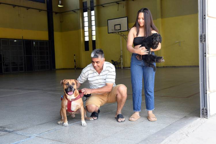 El Mes del Animal se celebrará con diversas actividades