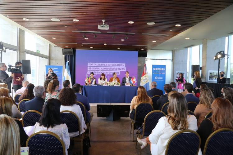 La provincia participó del encuentro del Consejo Consultivo de Representantes de Relaciones Internacionales y de la Comisión de Género y Diversidad de la Zicosur 