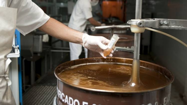 La Provincia impulsa capacitaciones en buenas prácticas para encargados y operarios de salas de extracción de miel