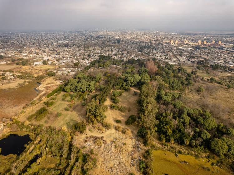 Vacaciones en Santa Fe: recorridas guiadas por el Jardín Botánico