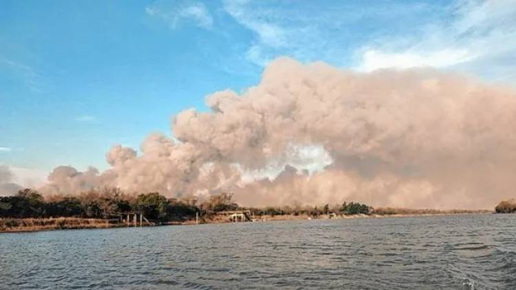 Incendios en la zona de islas del Paraná: "Lo que falta es que actúe la Justicia"