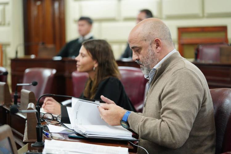 Ajuste en discapacidad: Palo Oliver solicita que la Cámara de Diputadas y Diputados se expida al respecto