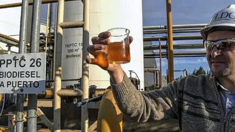 Vehículos oficiales empezarán a trabajar "con biodiésel al 100%"