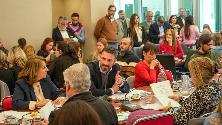 Estevez celebró el debate de la Ley de Humedales