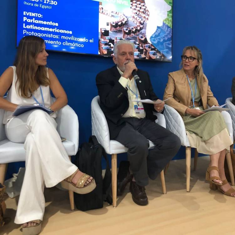 La diputada Ximena García participa de la cumbre sobre cambio climático en Egipto