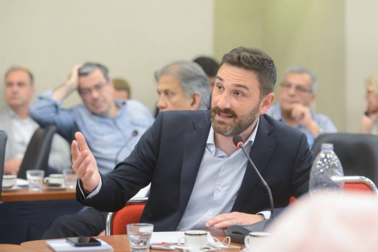 Estévez: "El dictamen es un avance para seguir trabajando por la Ley de Humedales"