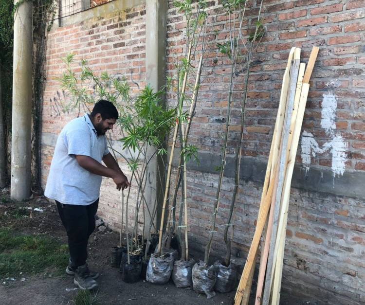 La Municipalidad continúa con la erradicación de basurales en Playa Norte
