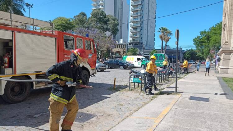 La provincia entregó 31 patrulleros a la Dirección General de Seguridad Rural "Los Pumas"