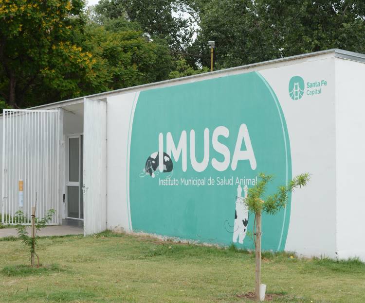 La Municipalidad suma un formulario online para registrar perros de razas peligrosas