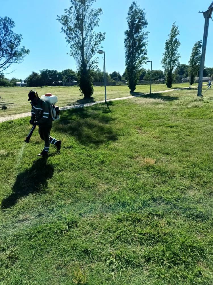  Semana de acción contra el dengue: el municipio lleva 640 bloqueos en 65 barrios