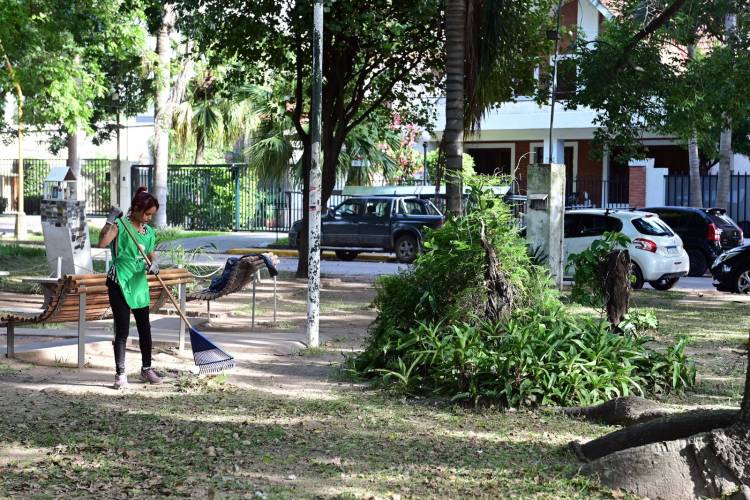 Desmalezamiento y limpieza: los servicios municipales previstos para esta semana