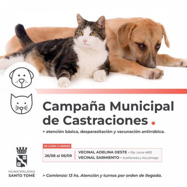 La Campaña de Castraciones atenderá en las vecinales Adelina Oeste y Sarmiento