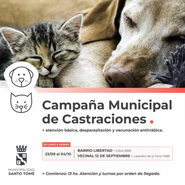 La Campaña de Castraciones atenderá en Barrio Libertad y Vecinal 12 de Septiembre