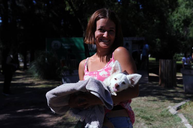 El IMUSA atendió más de 4700 animales en octubre