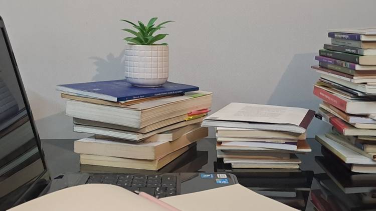 Mención honorífica para el Premio Literario Municipal 2024