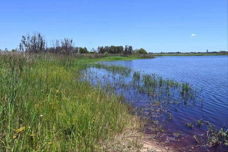 Tras años de abandono, la Municipalidad recuperará la playa Los Alisos