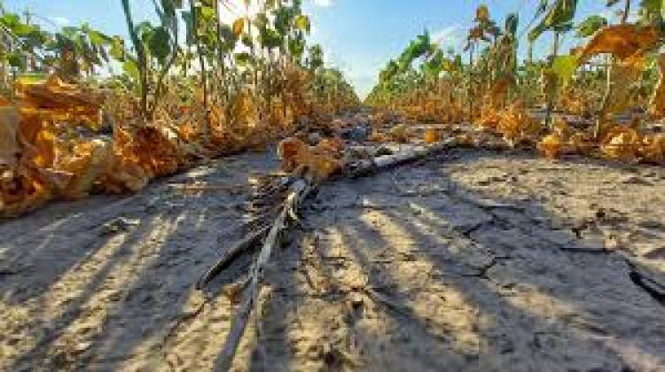 Provincia extiende plazos para tramitar emergencia agropecuaria