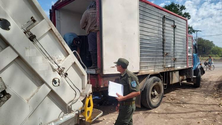 Decomisaron 3.000 sábalos en un operativo de control en Arroyo Seco