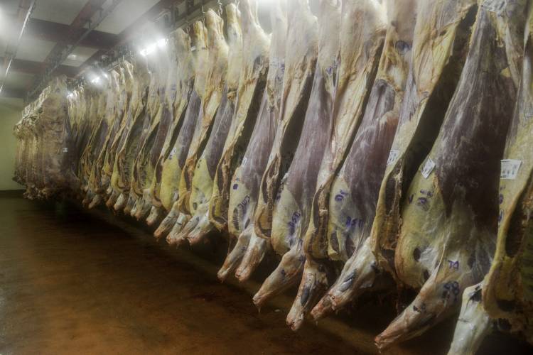 El gobierno nacional distribuyó el cupo de xportación de carne vacuna con destino a EE UU
