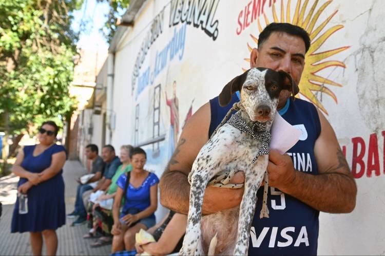 En febrero: atenciones de IMUSA, Ecocanjes y la oficina móvil del Cementerio estarán en distintas vecinales
