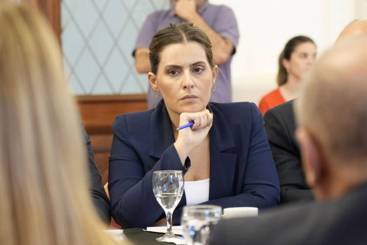 Lionella Cattalini: "Milei decide llevarse puestas a las instituciones para imponer un juez corrupto e ineficiente"