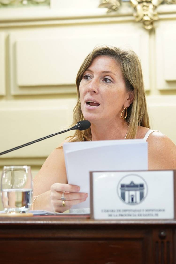 Piden informes sobre los protocolos de seguridad del Aeropuerto de Sauce Viejo