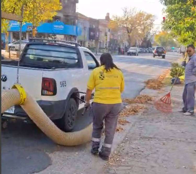 Limpieza y mantenimiento del arbolado público en Santo Tomé
