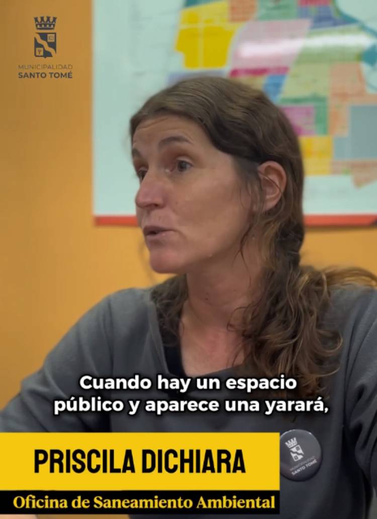 Protocolo sobre avistamiento o mordeduras de serpientes