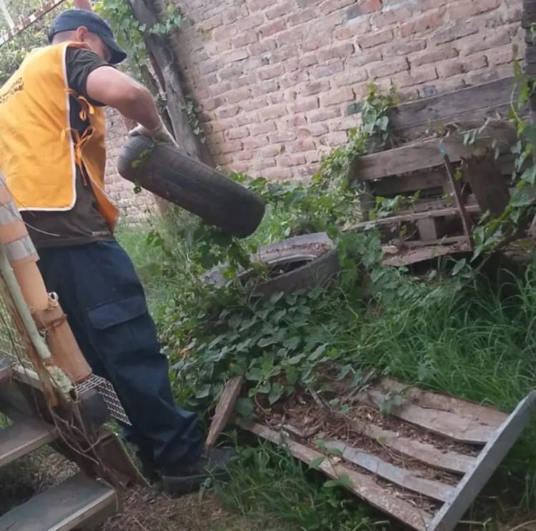 Se realizan acciones preventivas contra el dengue  