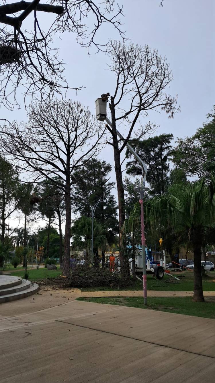 Intervención en plaza Ber ardino Rivadavia de Sauce Viejo