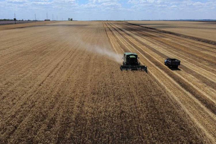 El campo santafesino se involucra en la Nueva Constitución