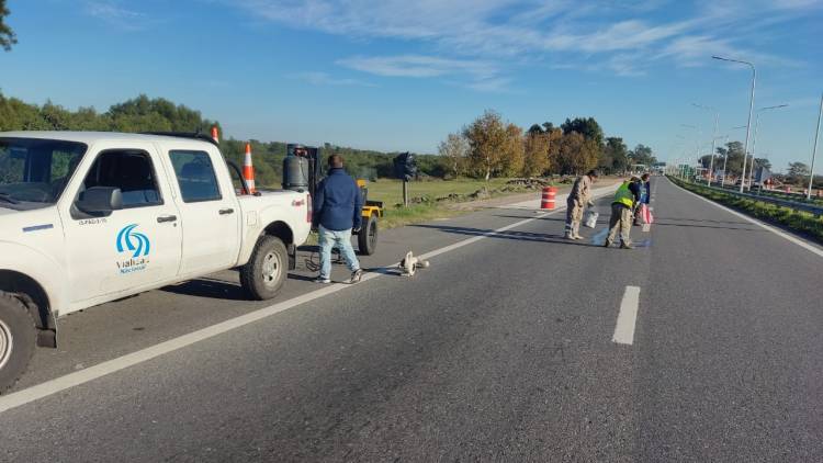 Tareas de mantenimiento de Vialidad Nacional en Circunvalación Oeste