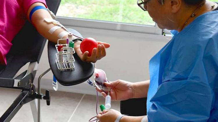 Día Mundial del Donante de Sangre: Provincia realiza unas 200 colectas al año en 70 localidades