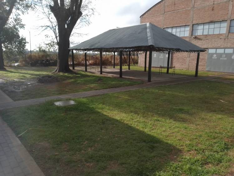 Operativos de descacharrado en instituciones educativas y deportivas para prevenir el dengue