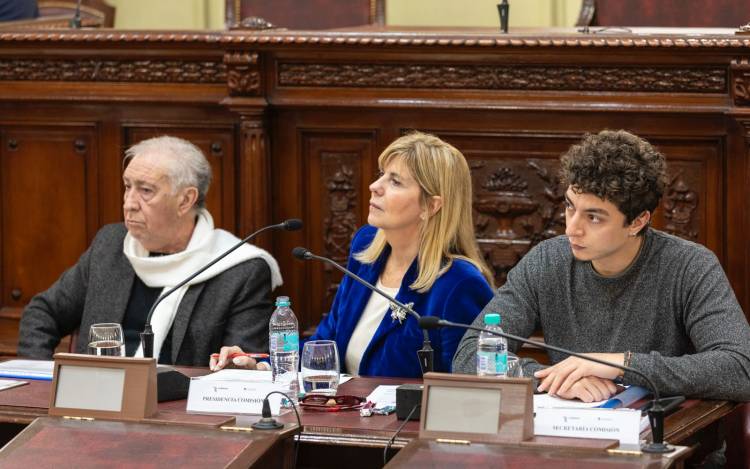 Convención Reformadora: Se trató en Comisión la modificación de 8 artículos del Poder Legislativo