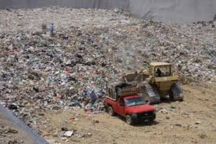 Usan plantas y microorganismos para descontaminar el relleno sanitario