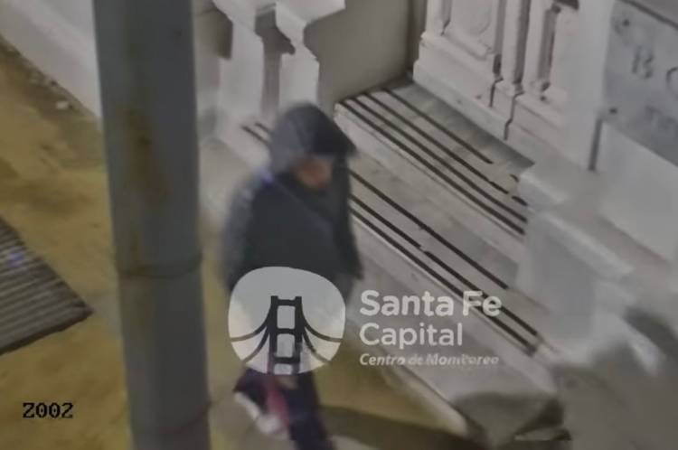 El Centro de Monitoreo Municipal y efectivos policiales frustraron un robo en inmediaciones de la peatonal