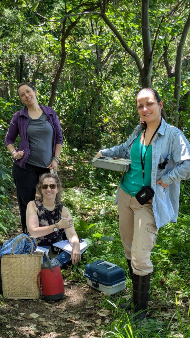 Científicas estudian diversidad y potenciales utilidades de los hongos 