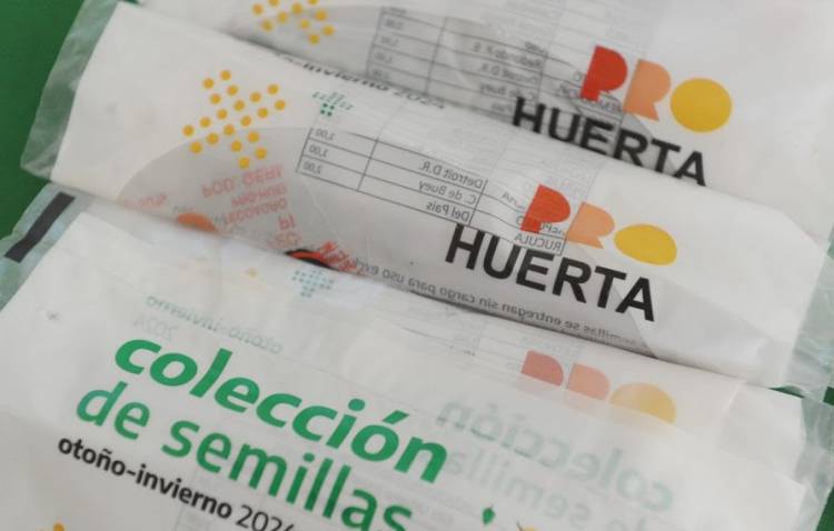 Apoyo a la economía familiar y gestión de trámites: actividades del municipio en vecinales para septiembre